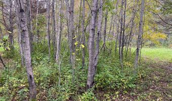 TBD LOT 13 Owl Avenue, Aitkin, MN 56431