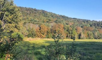 Lower Dingle Hill Road, Andes, NY 13731