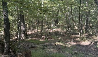 1 8 Miles Due South Down Anding Oil City Rd, Bentonia, MS 39040