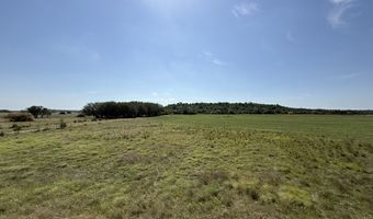 0 W FM 2842, Pottsville, TX 76565