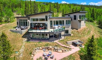 1453 PONDEROSA Rd, Alma, CO 80420