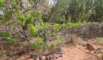 92 CR N5417, Concho, AZ 85924