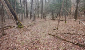 County Route 16, Angelica, NY 14709