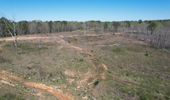 Harrison Road, Forest, MS 39074