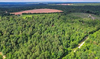 Cypress Point Lane lot 6, Beech Island, SC 29842