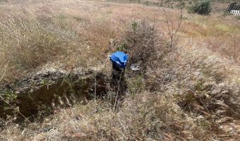 38 VINEYARD VIEW Dr, Bickleton, WA 99322