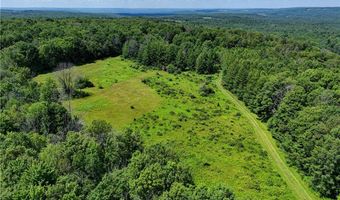 9085 Old State Rd, Angelica, NY 14709