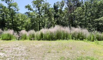 463 N High Duck Trl, Blythewood, SC 29016