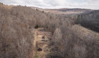 760 County Road 203, Annapolis, MO 63620