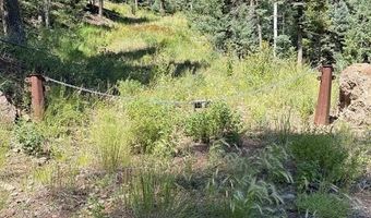 1435 Clarke Mountain Ln, Antonito, CO 81120