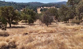 1560 Pinto Dr, Angels Camp, CA 95222