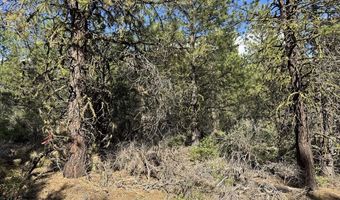 Thunderbear Road 46, Bonanza, OR 97623