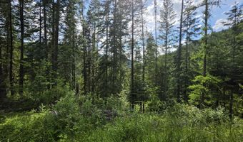 480 Dunn Peak Rd, Avery, ID 83802