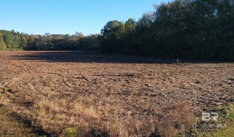 Lot 1 Freemanville Drive, Atmore, AL 36502