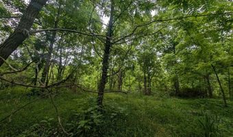 Mt Helen Rd, Allardt, TN 38504