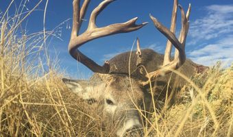 0 County Road 170, Agate, CO 80101