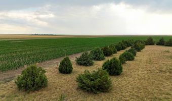 33970 COUNTY ROAD 25, Akron, CO 80720
