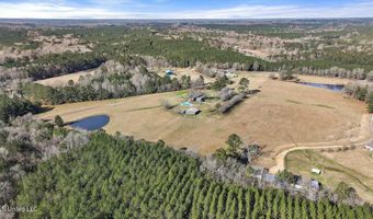 766 Pinola Braxton Rd, Braxton, MS 39044