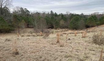 34655 Co Rd 49, Beaverton, AL 35544