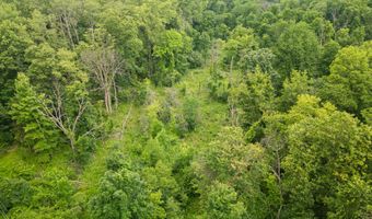 989 McCabe Ave NE, Ada, MI 49301