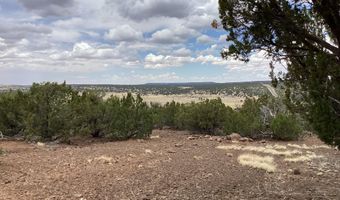 Xxx Stanford Drive 72, Concho, AZ 85924