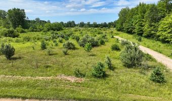 VL 104th Avenue, Allegan, MI 49010