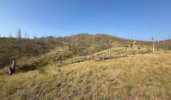 Pine Acres Rd, Bellvue, CO 80512