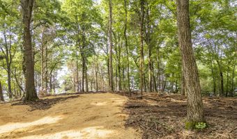 NELLS KNOB Cv, Bath Springs, TN 38311
