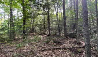 1695 Washburn Rd, Alexandria, NH 03222