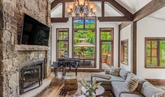 51 Thunderbowl Ln #12, Aspen, CO 81611