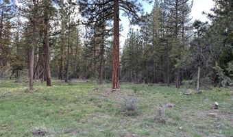 Red Deer Lane lot 2, Bonanza, OR 97623