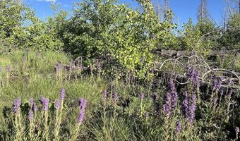 Tbd VISTA RIDGE LANE, Bondurant, WY 82922