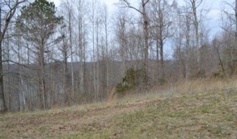 Fox Hill Road lot 4 & 5, Baxter, TN 38544