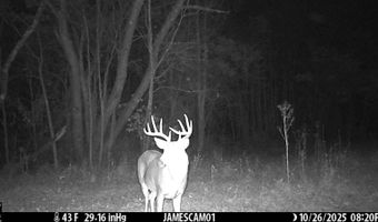 0 W Captina Highway Rd, Alledonia, OH 43902