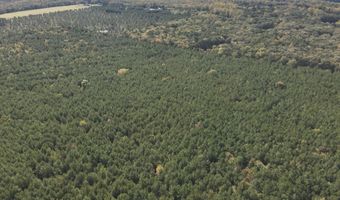 RT 317, Georgetown, DE 19947