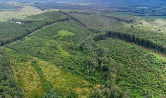 62- Acres Grandmas Hill Rd, Amherst, VA 24521