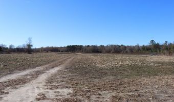 Highway 3, Blackville, SC 29817