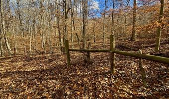 1520 Brittontown Rd, Afton, TN 37616