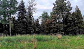 Lot 1220 Rainbow Overlook, Angel Fire, NM 87710