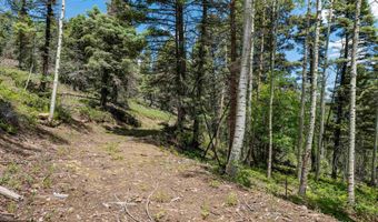 Lot 148 Brazos Dr, Angel Fire, NM 87710