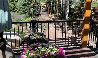 124 Ski Rd, Allenspark, CO 80510