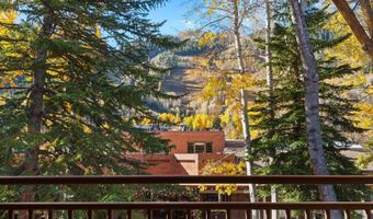 408 E Cooper Ave, Aspen, CO 81611