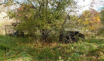 290 Angels Pass Dr Lot 1, Bastian, VA 24314