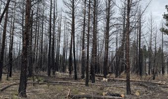 1100 Yellow Pine Rd, Bly, OR 97622