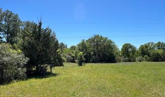 R13945 A0049 J Peterson Tract 11 Acres, Anderson, TX 77830