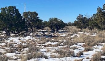 211 Windmill Rnch, Carrizozo, NM 88301