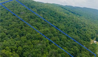 123 N Fork River Rd, Abingdon, VA 24210