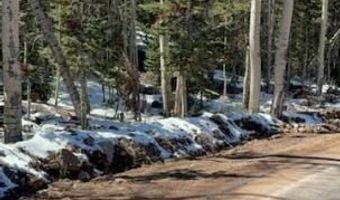 641 N Hwy 143, Brian Head, UT 84719