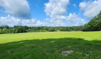 3350 SE Mt Pleasant Ln, Bogue Chitto, MS 39629