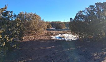 286 County Rd, Concho, AZ 85924